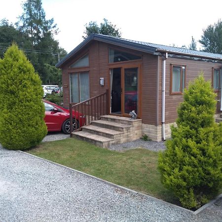 Squirrel Lodge Clearwell Extérieur photo